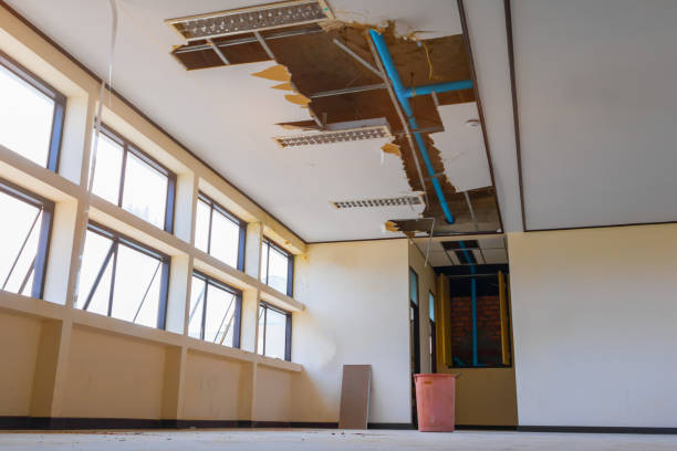 Best Flood damage cleanup  in Oneonta, AL