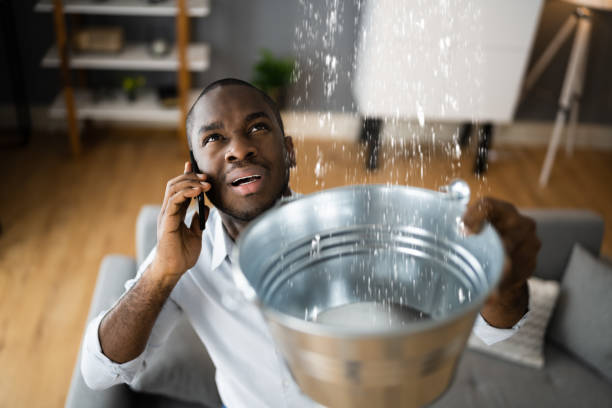 Best Carpet water damage restoration  in Oneonta, AL