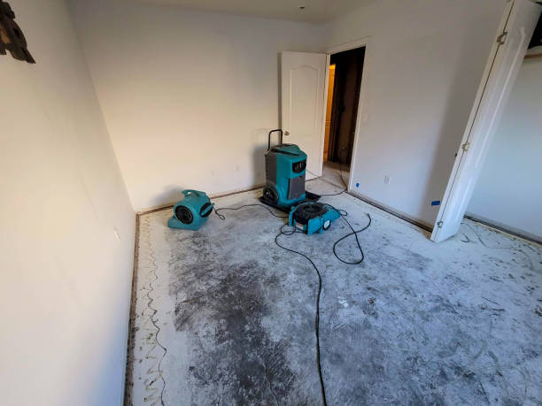 Best Commercial water damage restoration  in Oneonta, AL