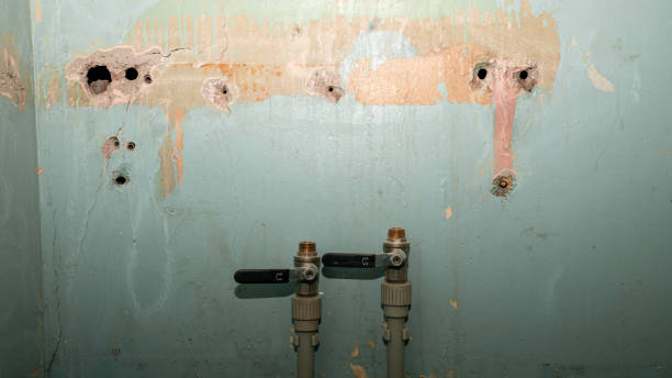 Best Water damage cleanup near me  in Oneonta, AL