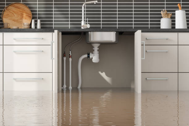 Best Water damage restoration near me  in Oneonta, AL
