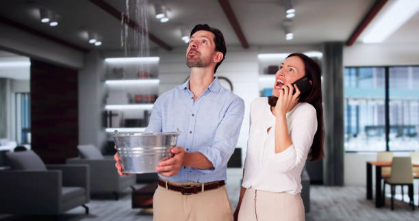 Best Water damage contractors near me  in Oneonta, AL
